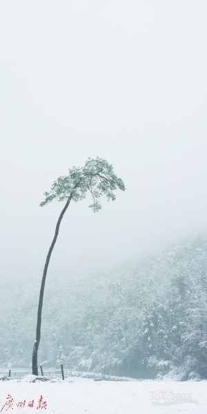 传统和现代的交锋:水墨变相何去何从